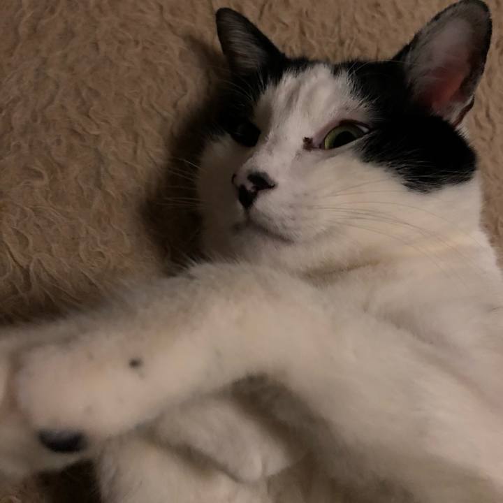 5e4271d5 07e4 4318 8aa7 acfb026d36a1 1548781227745