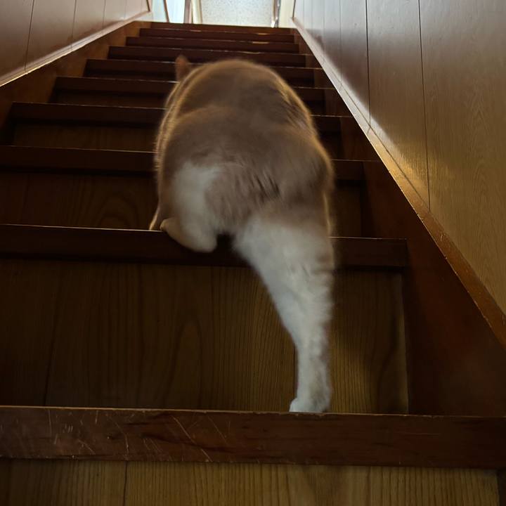 5e427393 6ab1 4636 941c 23502c110a0f 1772408105511