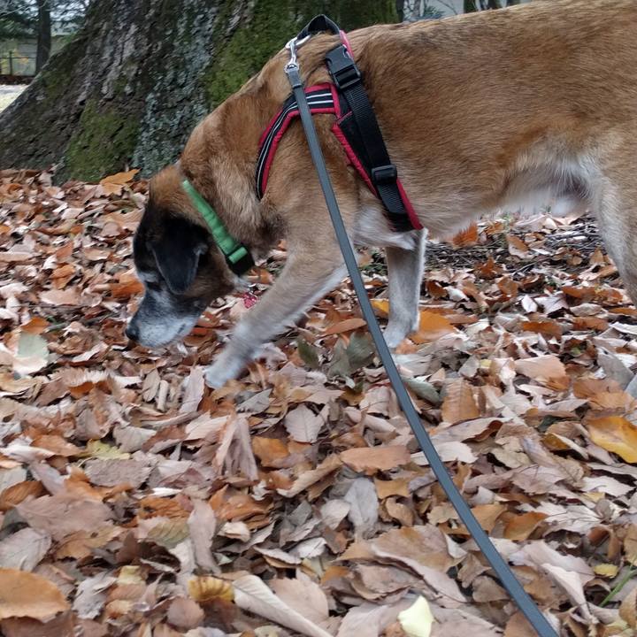 5e42753c bfb9 4a47 918d f77ee84affc4 1511829696881