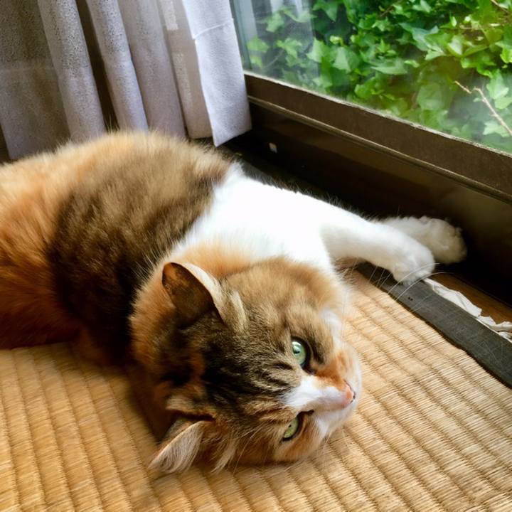 5e4278a4 fe29 48f5 a442 a7fbedcea249 1559099124641