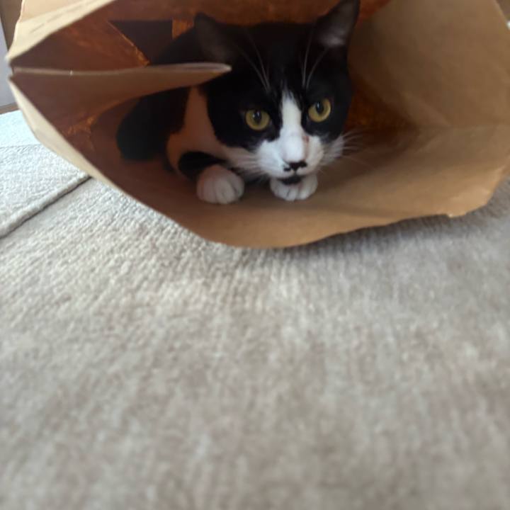 5e428251 6c6e 413f 973f d08c08df5fe9 1760491326075