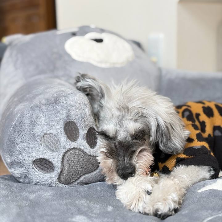 5e42ac4b b207 4df0 afa2 c3aaeb06ce9d 1770906769884