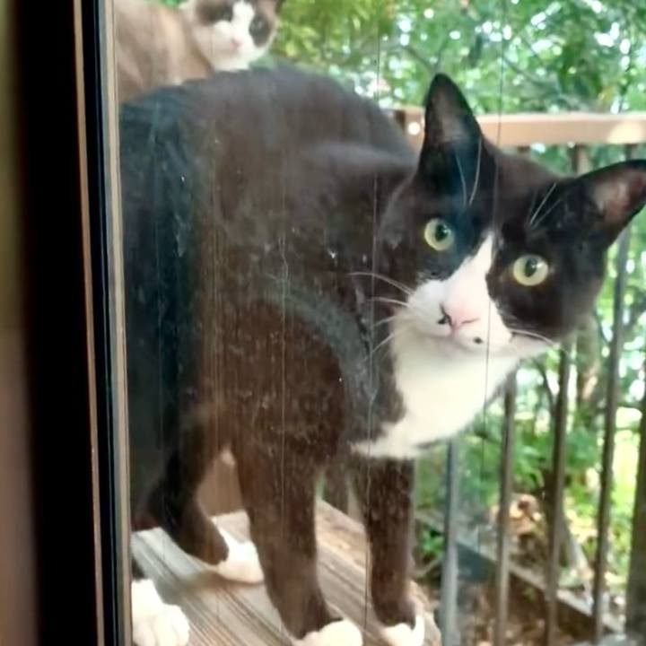 5e4304fc 4763 42f1 b61c 6777b1463014 1748683073868