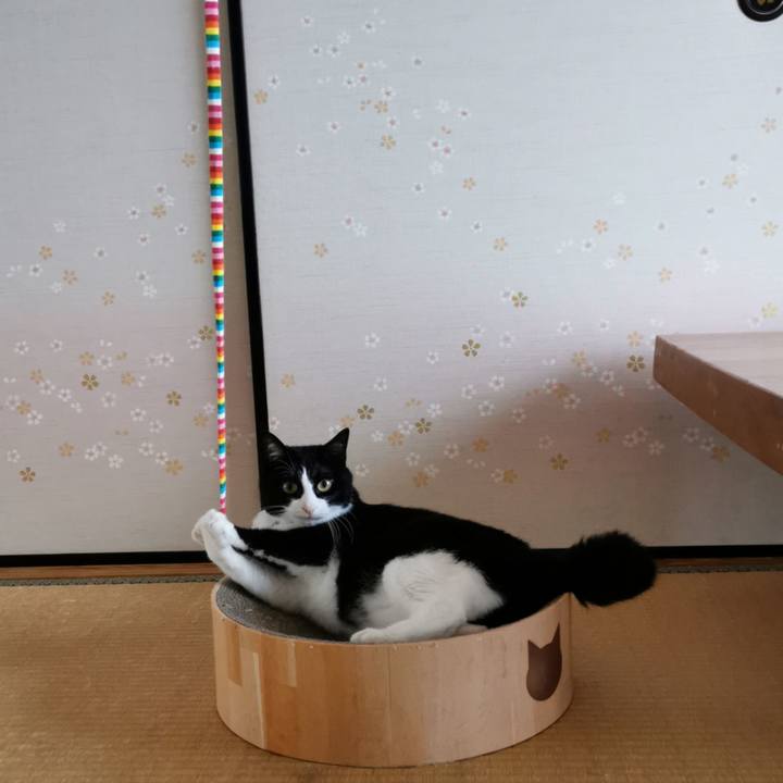 5e4344bb ae2f 4393 a6eb 64d051e26146 1624371868430