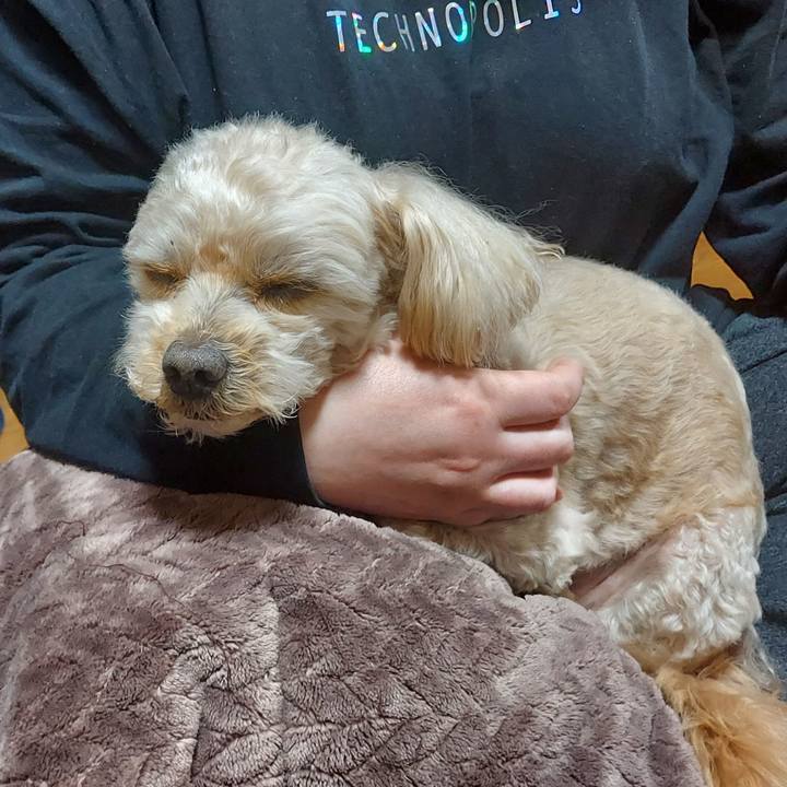 5e4351bd ad02 4484 bcaf dc32f0ff6ef2 1643452446165