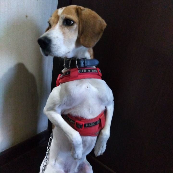 5e436dad 44ca 4543 81b6 5b53299fc7aa 1702813219194