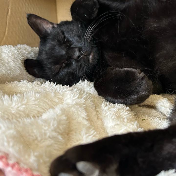 5e4373cd 770c 4b10 9a92 9a55edb2c933 1759636567192