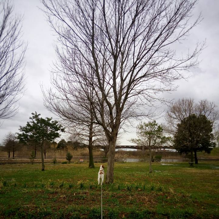 5e437a49 294c 40a1 b86f ff542c860371 1520553916416