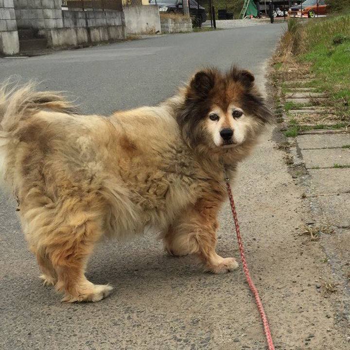 5e43a426 af2e 4cf0 b2df 5688563d5a04 1664612947569