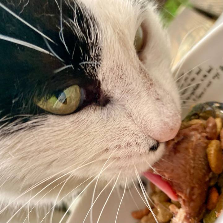 5e43c12e 1c5c 424a 829e bc396950878e 1775898985944