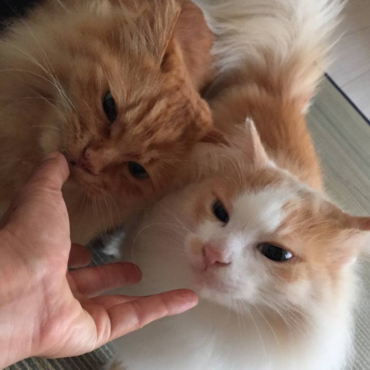 5e43c490 097c 41f7 b130 1012a230896e 1530565052290