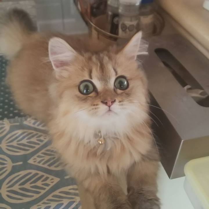 5e43cfa8 0639 4ae2 a9f2 c6af14206b5e 1559438099900