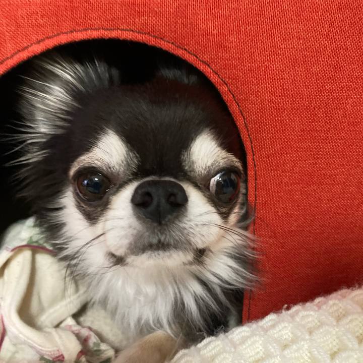 5e43e6fb ba6a 4406 964d c8408bcf4c49 1700994642595