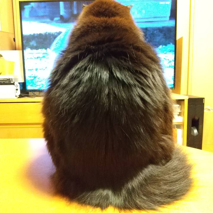 5e43f649 c442 4575 ac8e 7c042b5c95bf 1643722150650