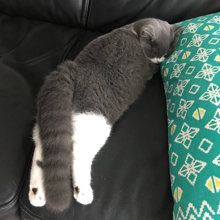 5e444674 77bb 48c1 a7f5 cf3f9d66fe6f 1508454723401