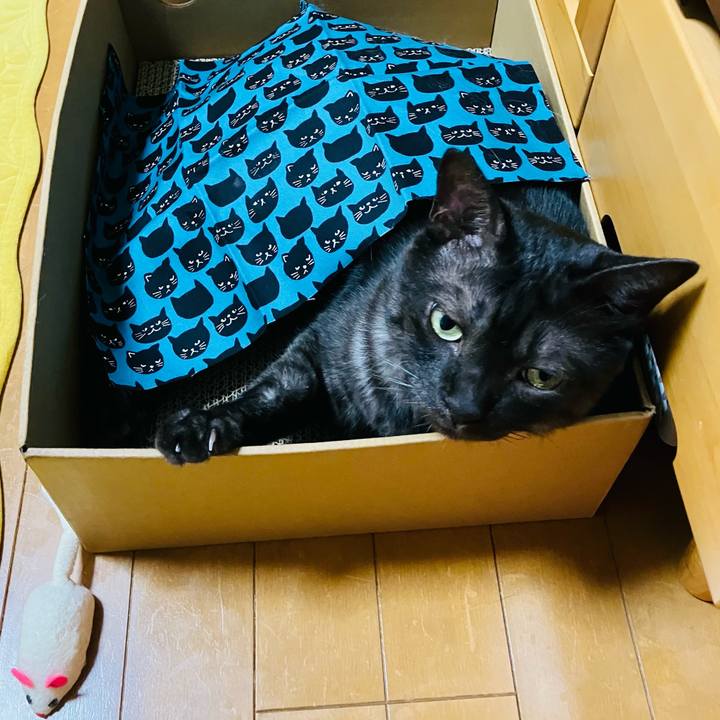 5e444c26 6d34 49d8 b676 b21eba2f06e8 1751245264884