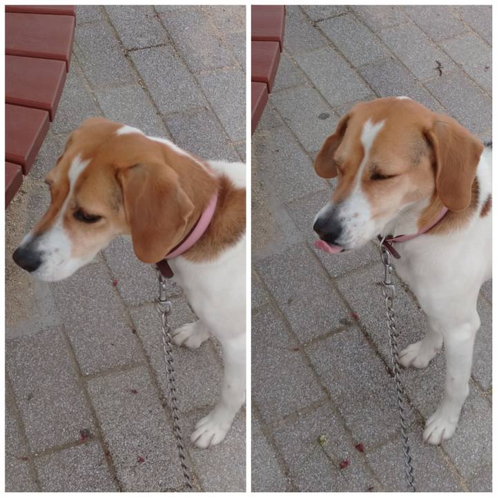 5e446812 ac73 44fb bd06 7f6c921d5632 1587527996451