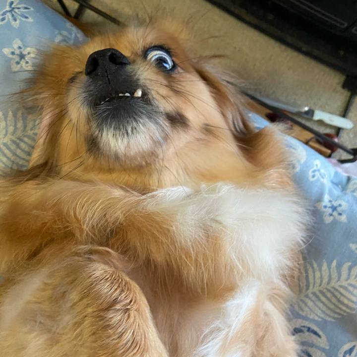 5e447833 5520 4643 8197 97a756f0ce59 1617744556529