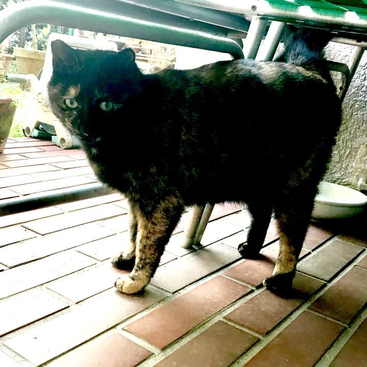 5e447b23 ac66 49c3 930e c7ead3df1df2 1521261940495