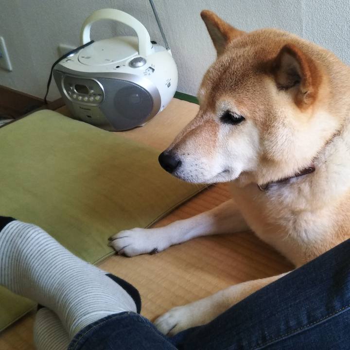 5e4480b5 f11d 415a 89e2 a566d62f4ae6 1571541488586