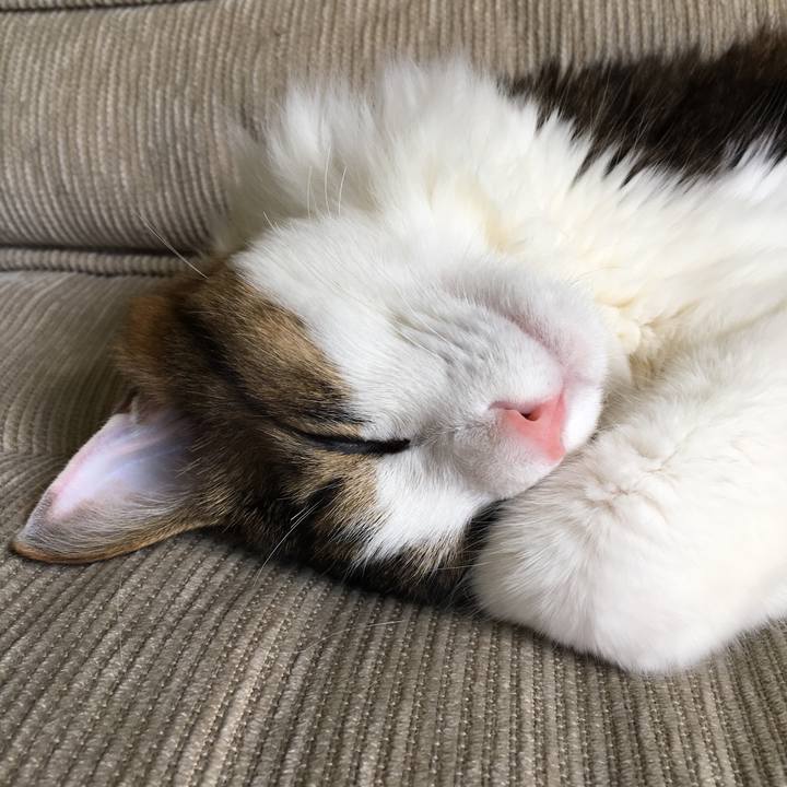 5e449166 7686 42cf 8b98 67d32f63d787 1528156403407