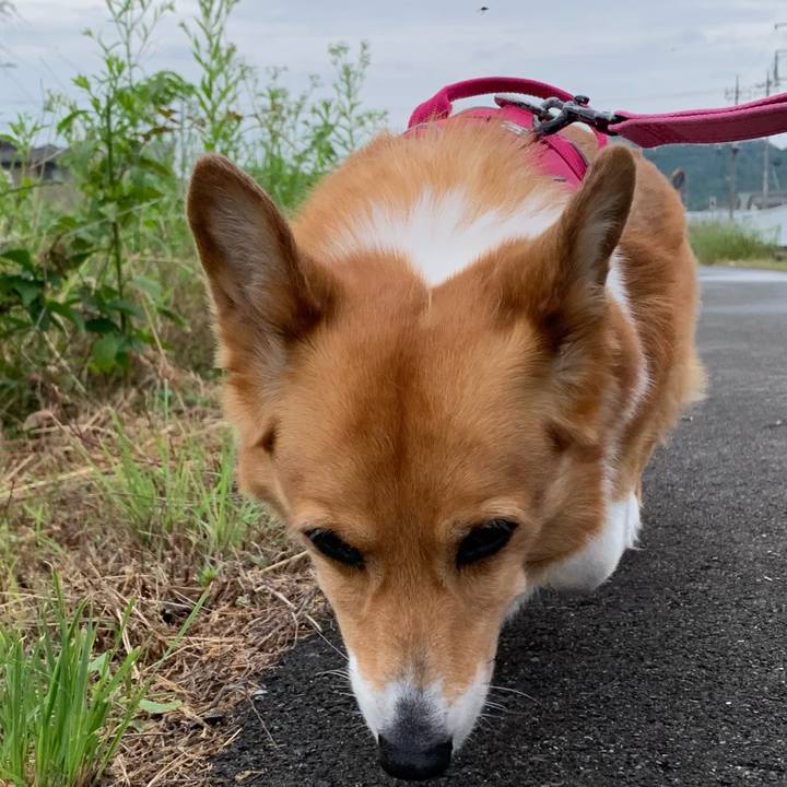 5e44e5de 48ea 4164 806e d239a753157a 1716781226112