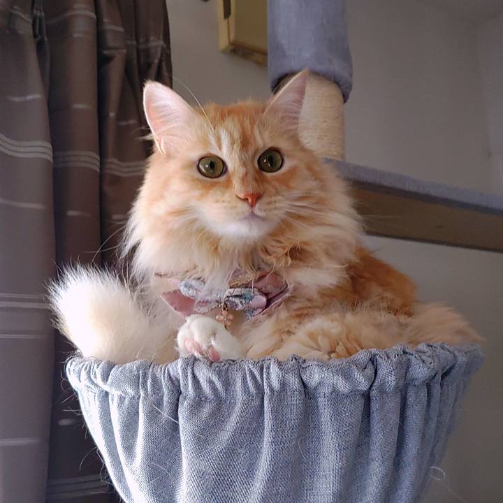 5e4501b2 de9f 4aac a731 4a93915fee3a 1721901295241