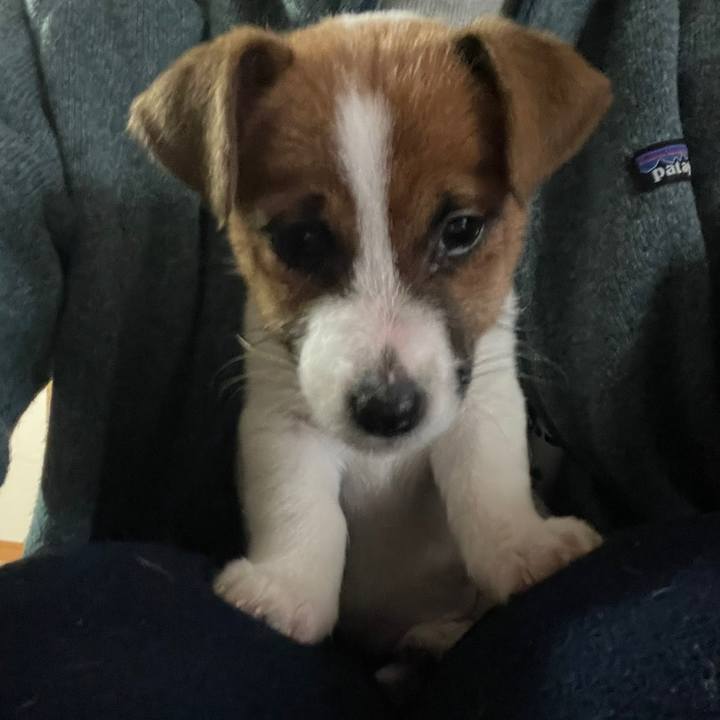 5e450d70 d2c0 437c a321 ddf4fad9071e 1615418557001