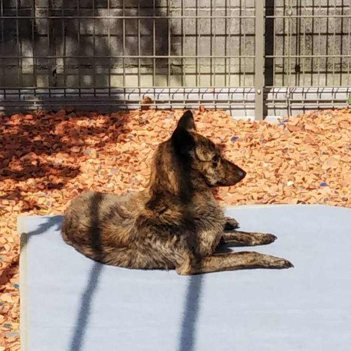 5e451dde 5507 493b aaba 49b9e0ba7c6a 1531568650541