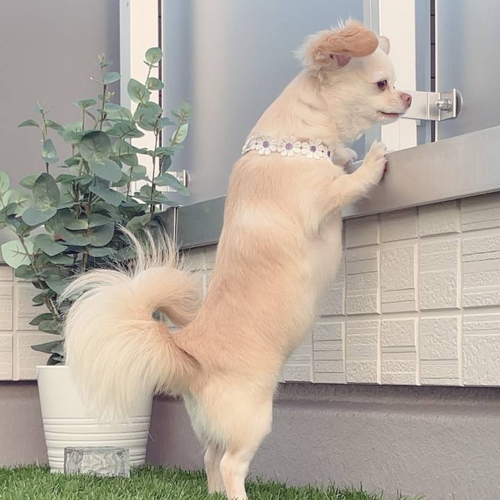 5e45d416 2acf 4ee5 857a b39392e5fa8b 1687696808825