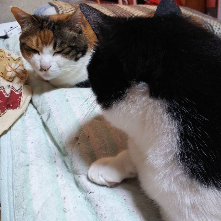 5e45e455 1f04 4da3 9413 fd6a84d15c39 1558647576581