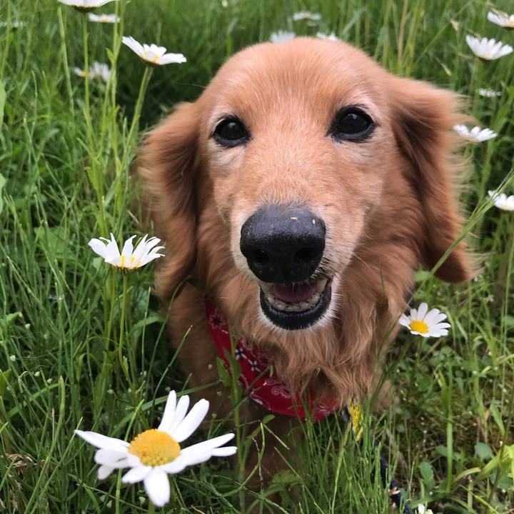 5e45e544 2795 4dda b20b 670f59379cbe 1590904032712