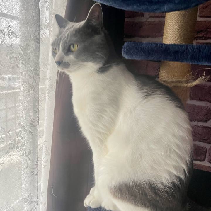 5e45e88a 386b 49dd b1d0 69ebab386e43 1669680118200