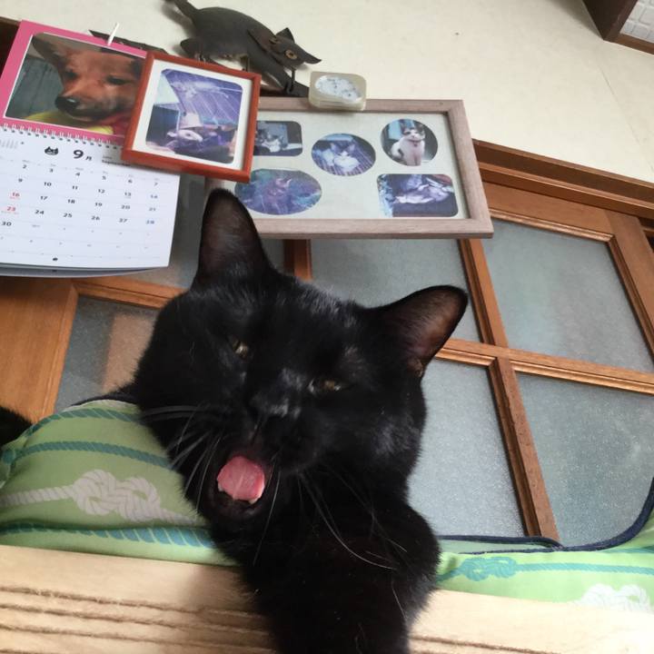 5e462e77 ea6b 4700 a623 6b8093e6a790 1570267658636