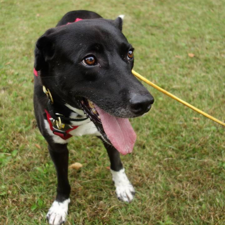 5e4655c5 e617 435d b63a ae6a6112b53f 1601769188345