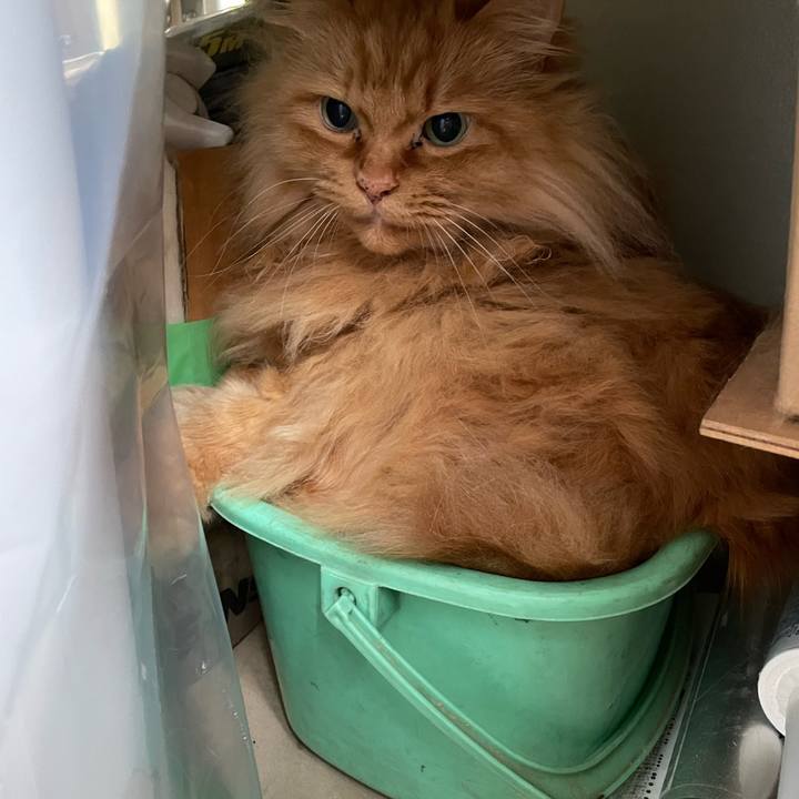 5e4671fd 3aea 4799 8074 1ecb51b350f9 1654605332464