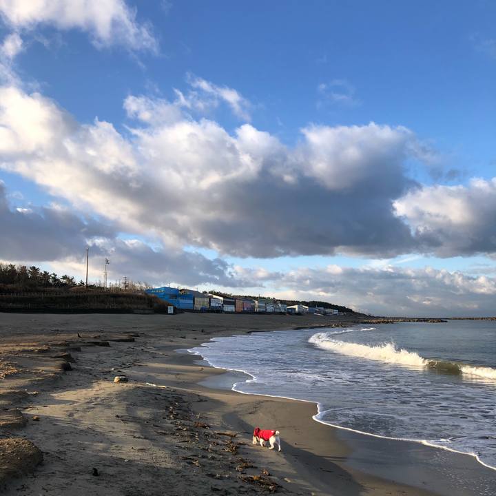 5e4673b8 9113 408c 9c93 15c562143e6c 1607468812863