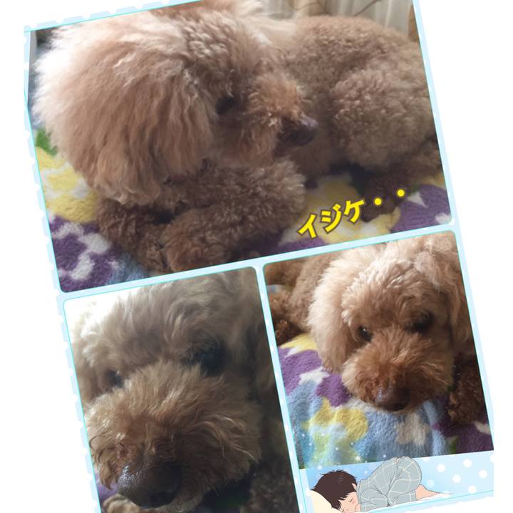 5e46c6f3 03b6 4bd3 b4fc 6aad85b893fc 1531954984533