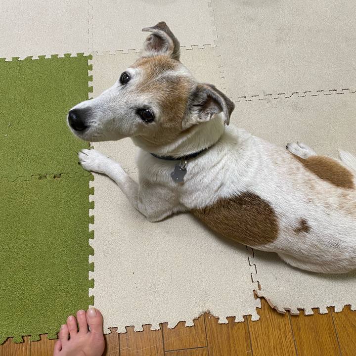 5e46d136 d789 4c77 b8f8 647cc693a4c4 1636583030199