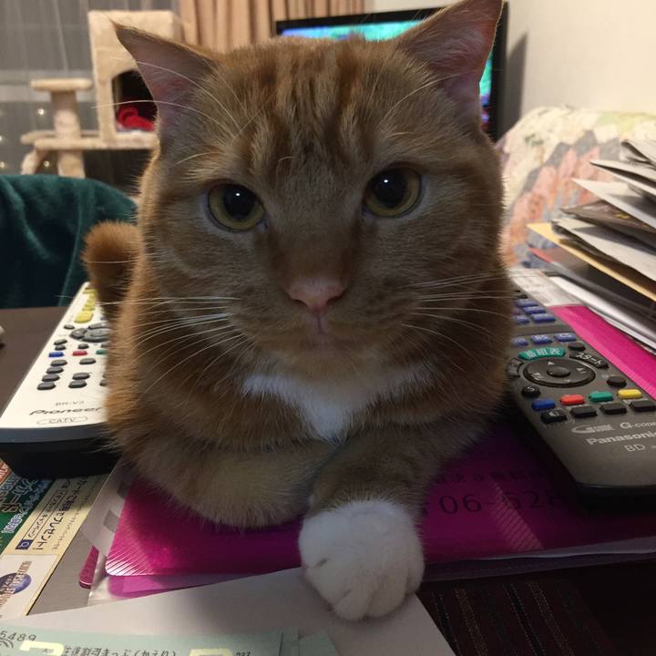 5e46d704 df9a 45a7 a2aa 3be8eb8beca7 1525302660301