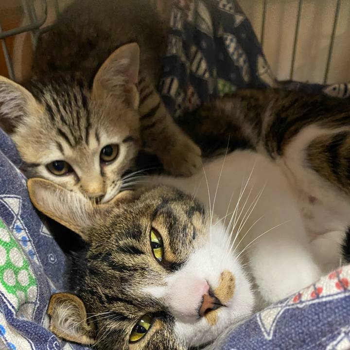 5e46f972 af4b 4aad 829c 796ee2f9e48a 1598678682068