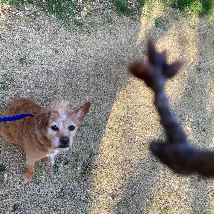 5e47004b 5167 4bd5 a146 fef30cde7ffb 1710597036987