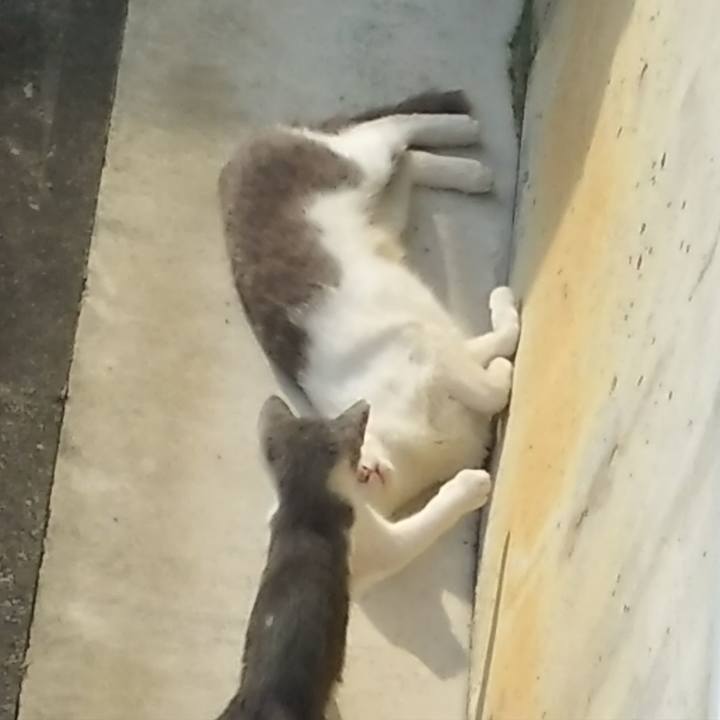 5e471337 3621 48cc 90cf e36f63632a7e 1529619315639