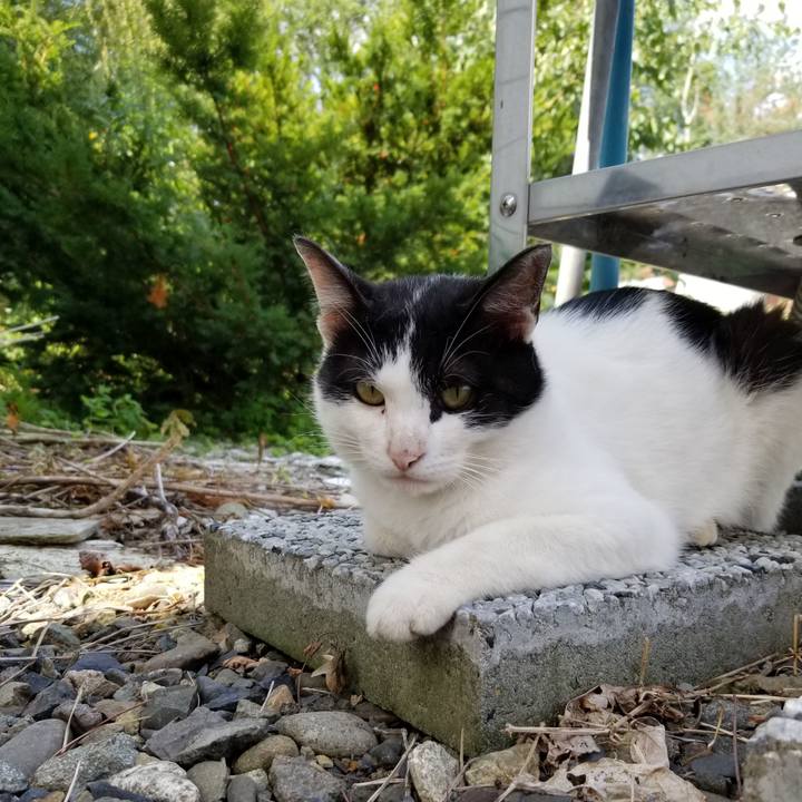 5e47c436 24f8 44fc b1dd ff62e94d75ec 1630728950372