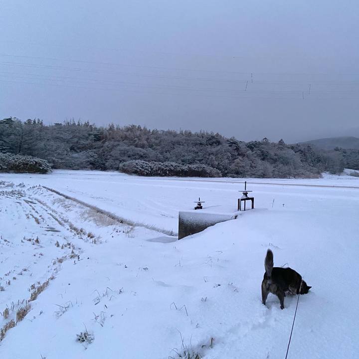 5e47cffe 3bd2 4774 a74f 7b69fc7628f7 1642544714539