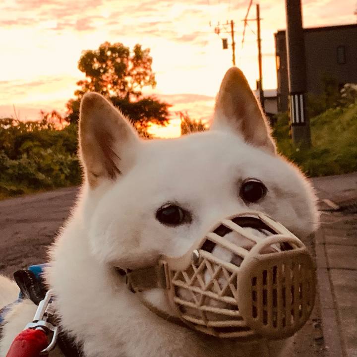 5e47e97f b876 459e b9ff 15f9244291e9 1663446984220