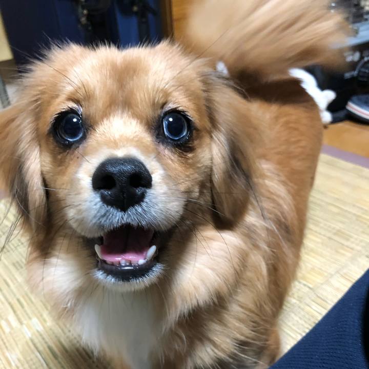 5e47ebb6 b896 4336 8c5c 6354a0a705f9 1512167321111