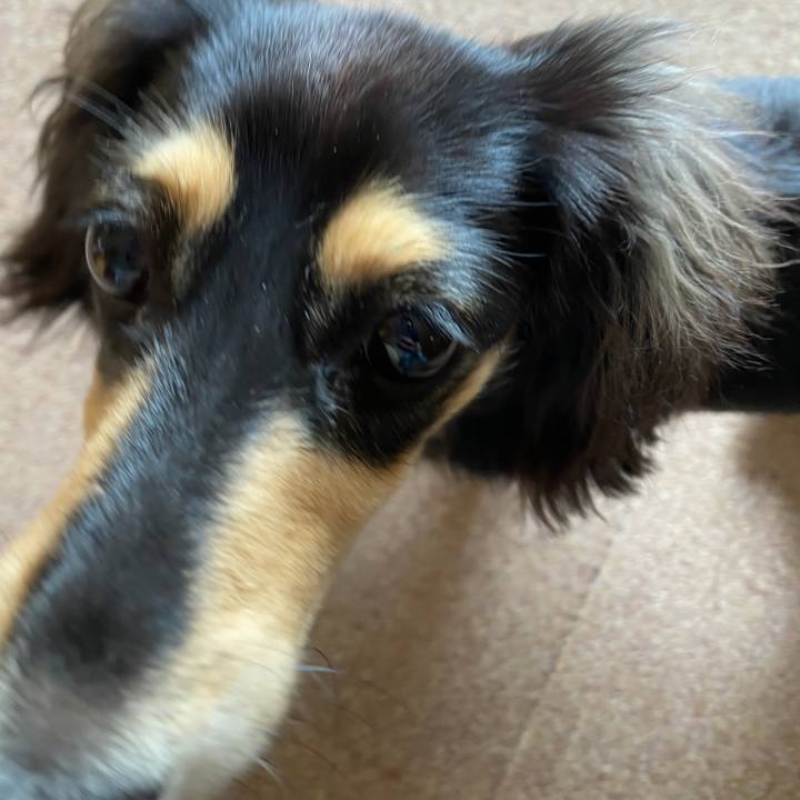 5e47f143 7375 45fe 99e7 e96c561e23b1 1685932266180