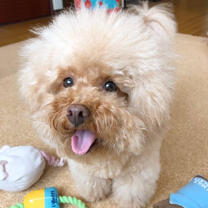 5e4823b3 b9f4 4e2f b026 a1815b05cf87 1534130744751