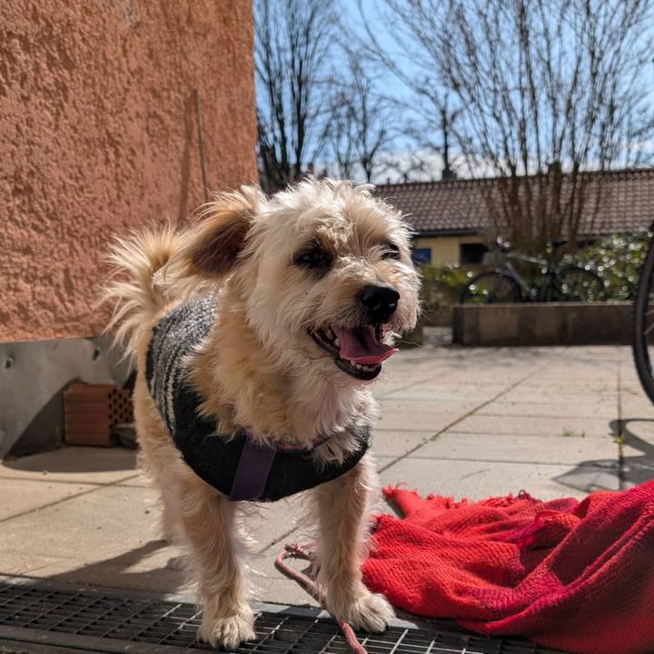 5e4868c4 e57c 4311 8467 c0414931205f 1773923623891